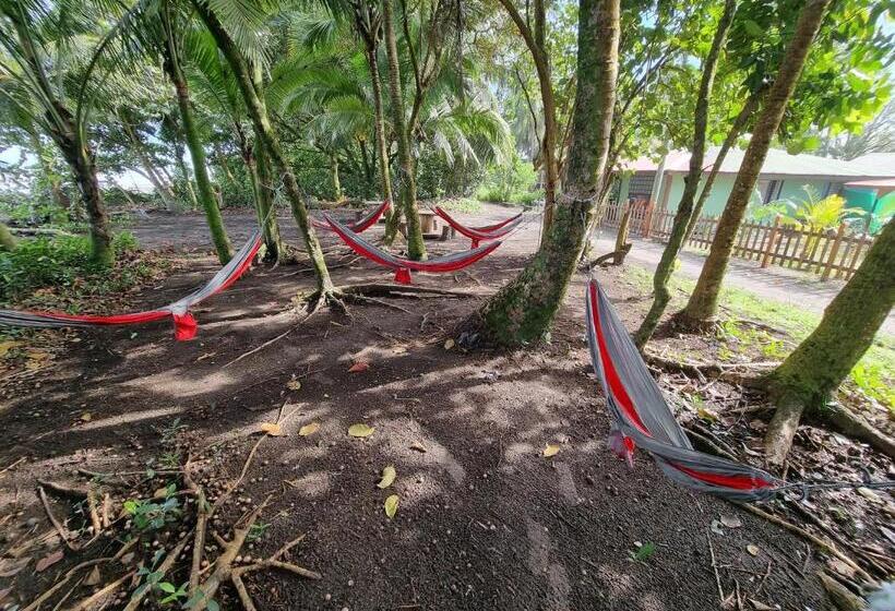 اتاق اکونومی, Caribbean View House