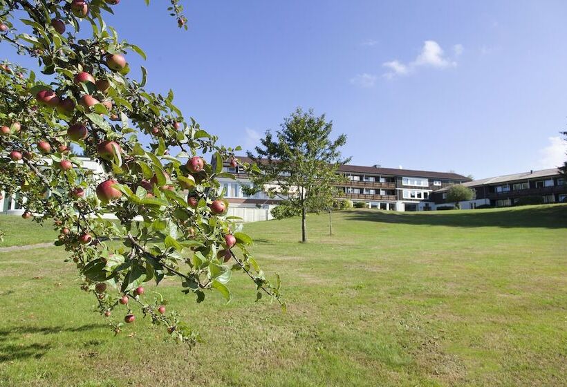 Номер Superior, Schwarzwald Freudenstadt