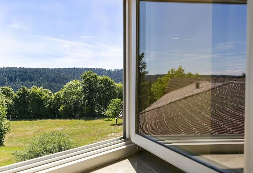 Номер Superior, Schwarzwald Freudenstadt