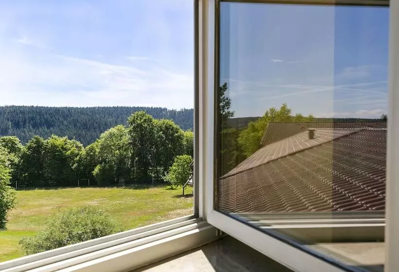 スーペリアールーム, Schwarzwald Freudenstadt