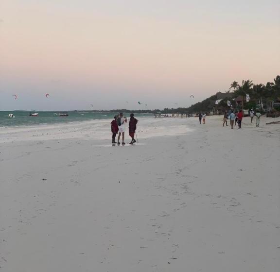 经济房, Chokoro House