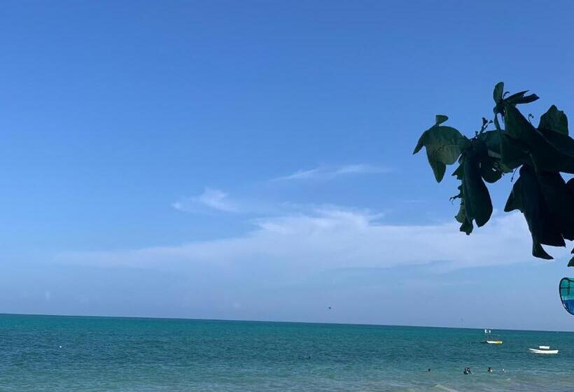 经济房, Chokoro House