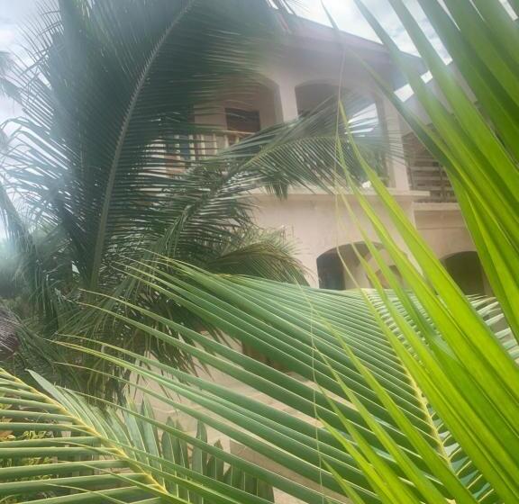 带大床的标准间, Chokoro House