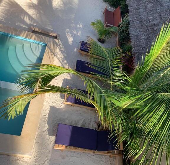 غرفة قياسية سرير كينج, Chokoro House