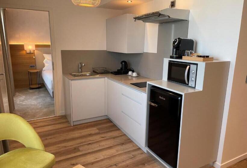 Апартаменты 1 Спальня с Балконом, Brit Hotel Paris Orly Rungis