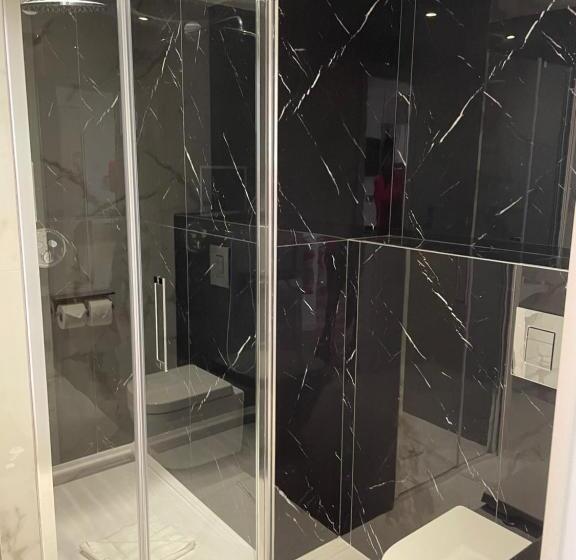 Апартаменты 1 Спальня с Балконом, Brit Hotel Paris Orly Rungis