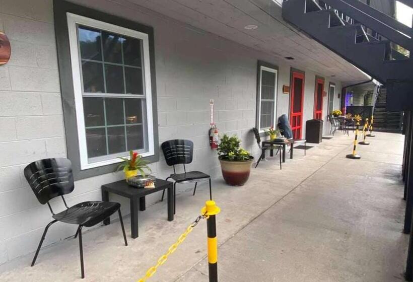 إستوديو ديلوكس, Dragon City