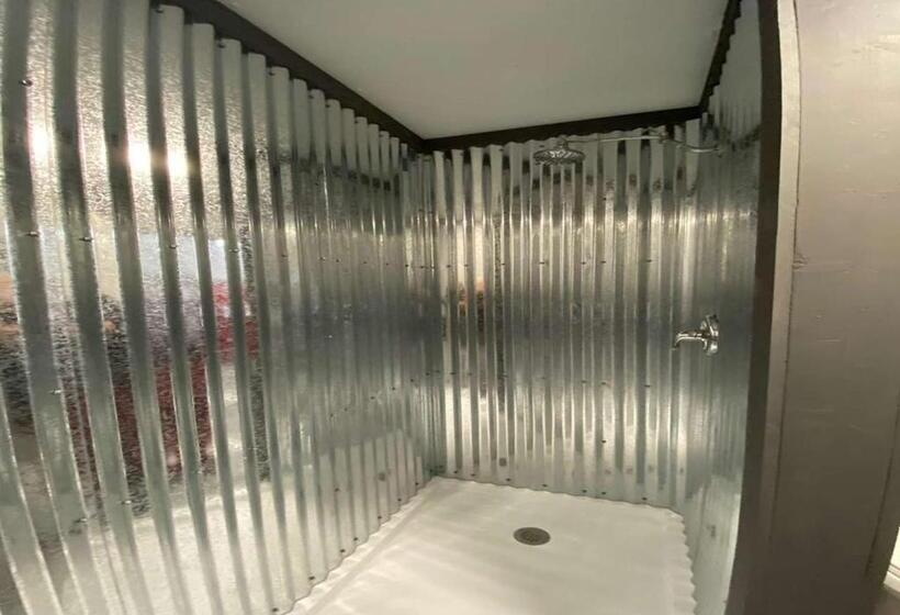 إستوديو ديلوكس, Dragon City