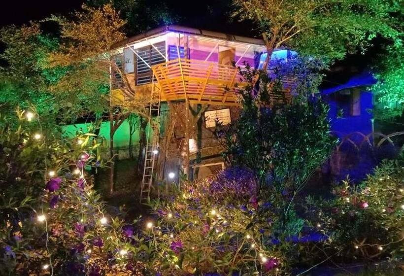 חדר דלוקס לשלושה, Treehouse Tabor Hills Resort Vagamon