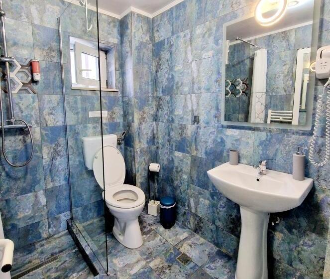 エコノミー４人部屋, Pensiune Mirada