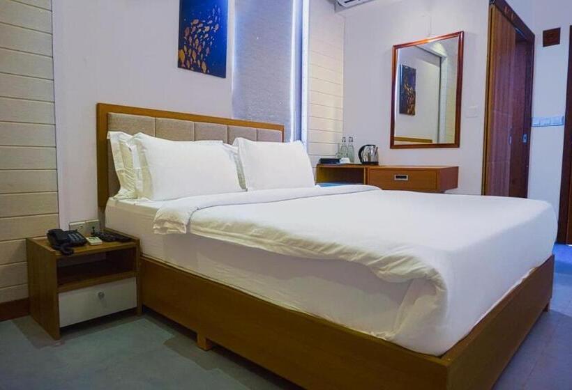 اتاق لوکس, Araamview