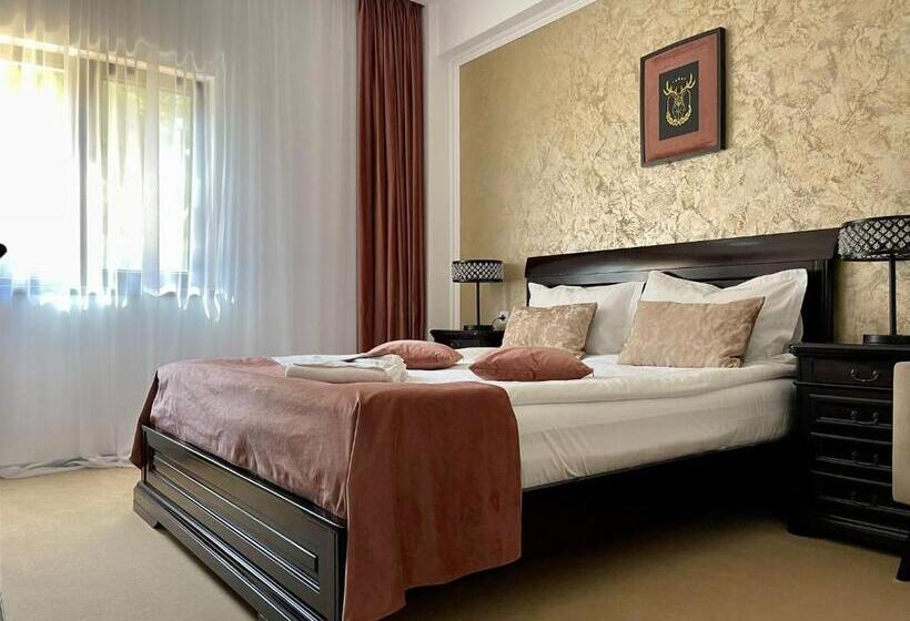 １ベッドルームアパートメント, Curtea Domneasca