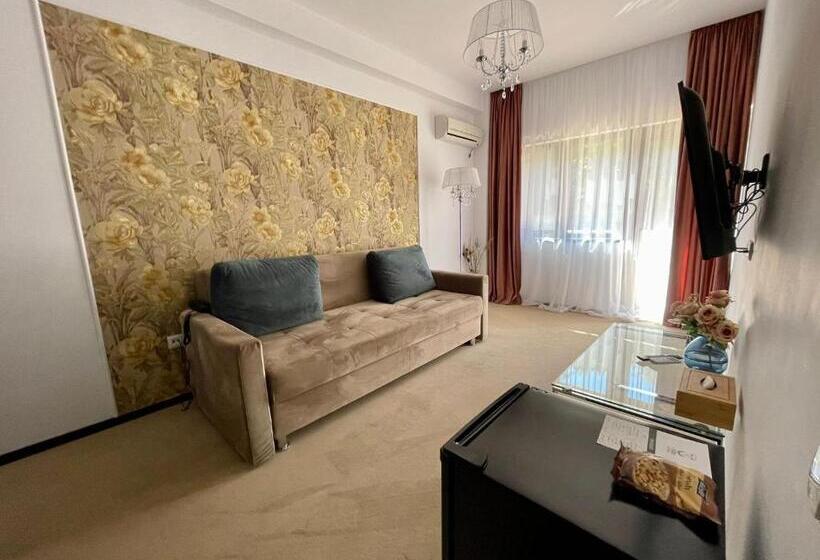 １ベッドルームアパートメント, Curtea Domneasca