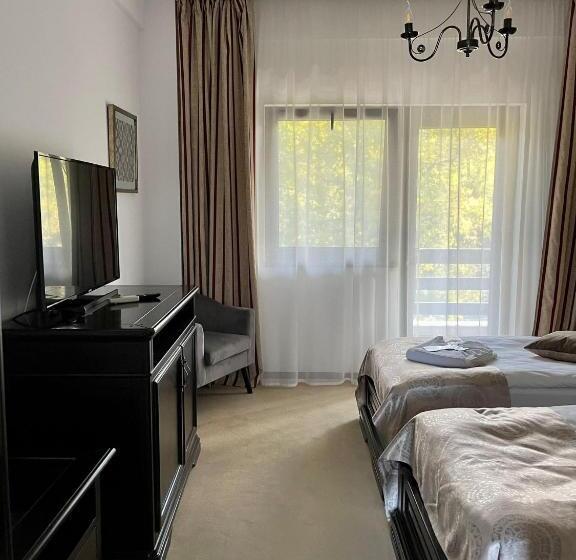 ガーデンビュースタンダードルーム, Curtea Domneasca