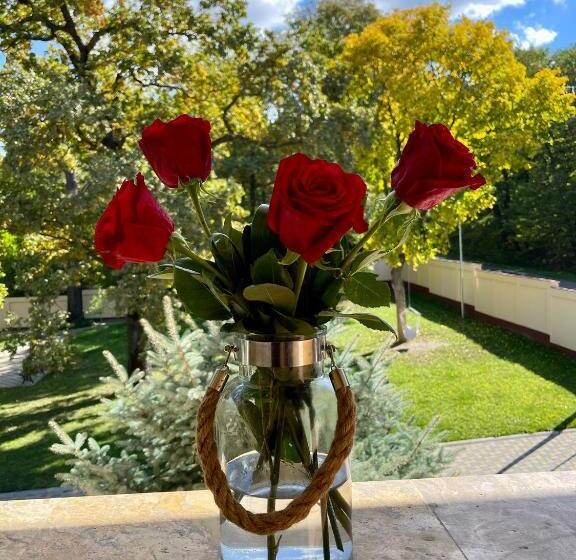 バルコニー付きスタンダードルーム, Curtea Domneasca