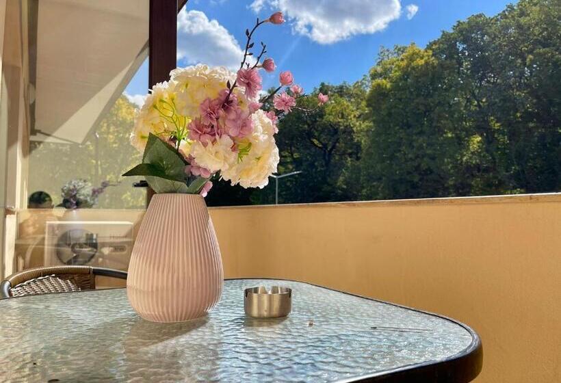 バルコニー付きスタンダードルーム, Curtea Domneasca