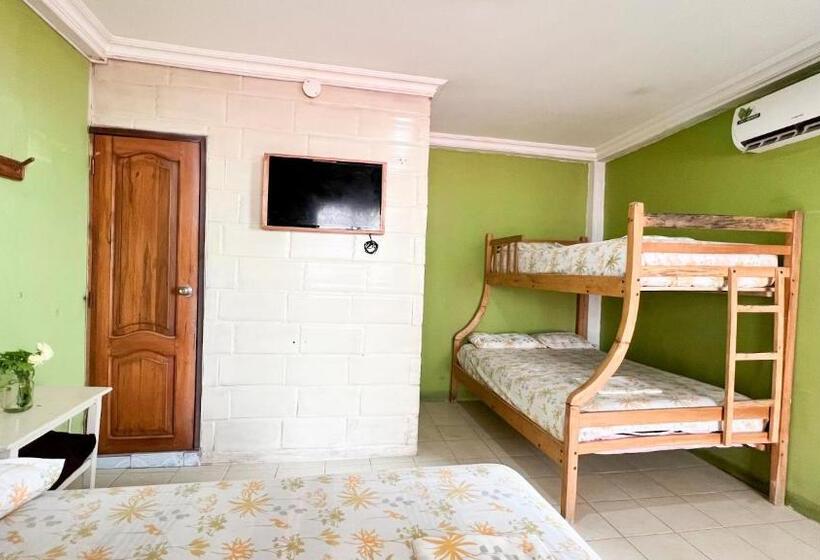 اتاق استاندارد چهار تخته, Arrecife Montañita Hostal
