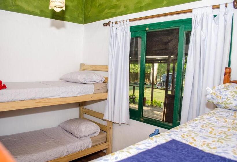 سرير فى غرفة مشتركه, Hostel Mar Y Campo