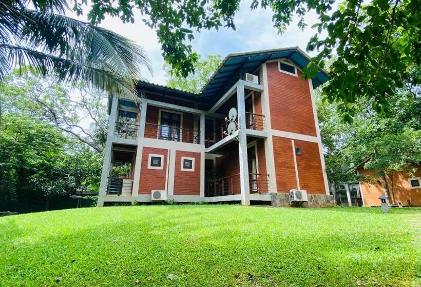 スーペリアーバンガロー, Eth Yahana