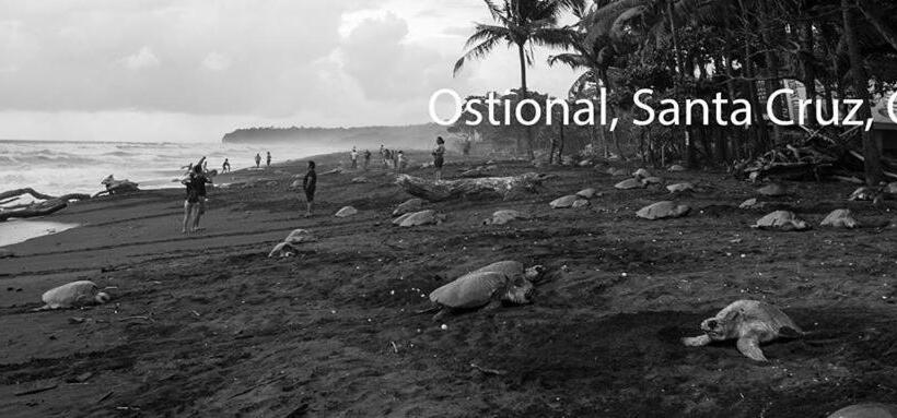 スタンダード４人部屋, Cabinas Surf Arribadas