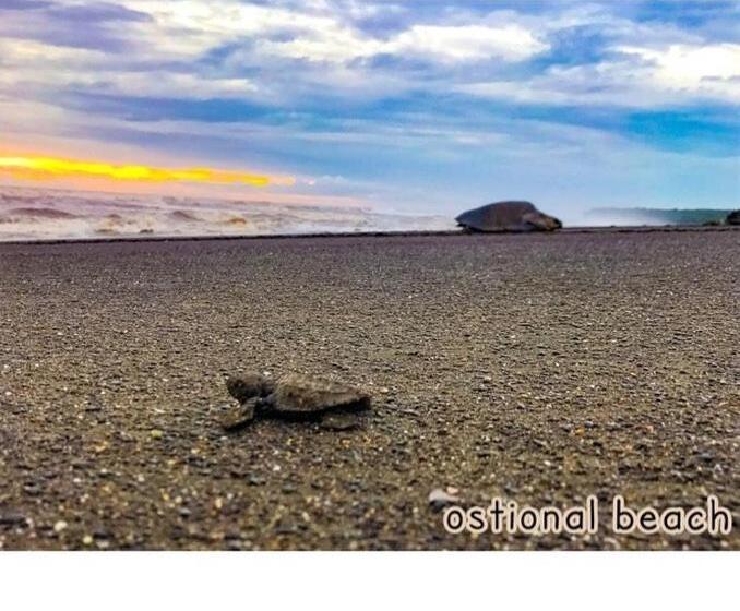 スタンダード４人部屋, Cabinas Surf Arribadas