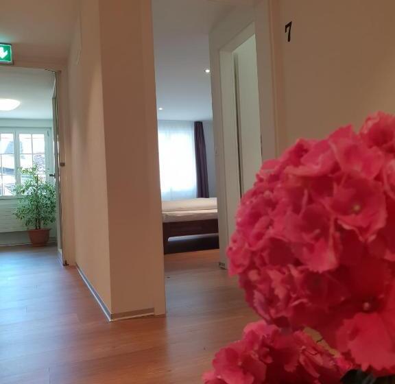 חדר סטנדרט, Ringmauer