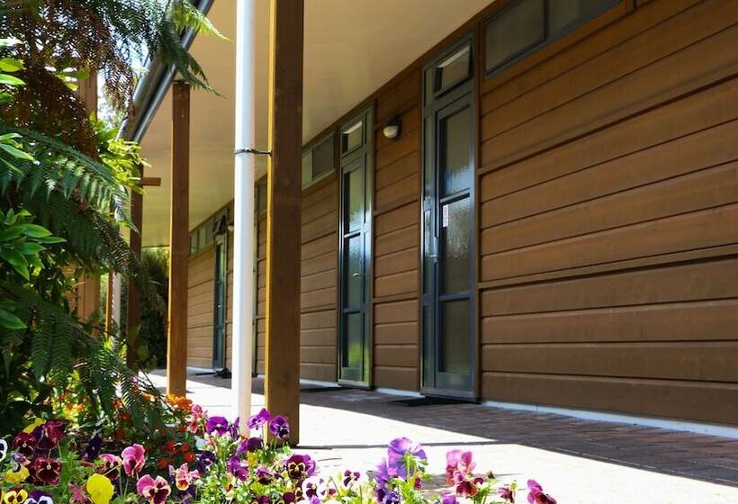 스탠다드 스튜디오, Sunset Motel