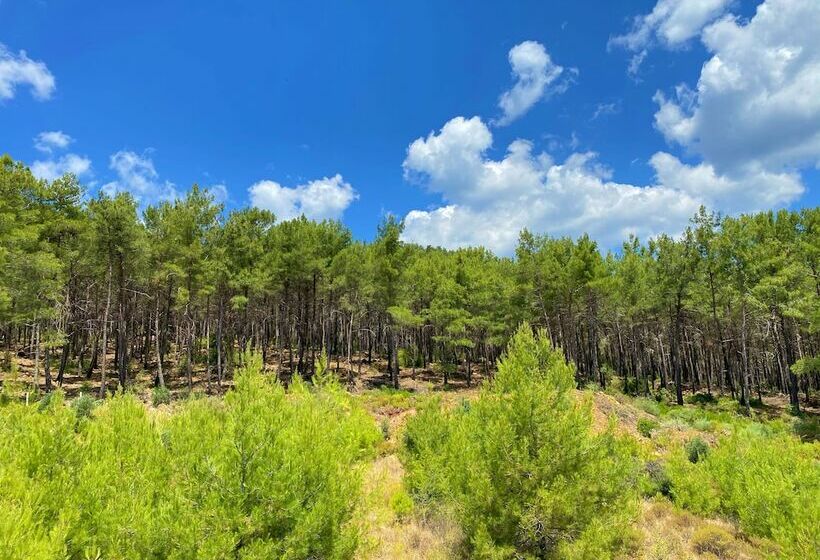 اتاق عادی, Onoda Hotel & Suites