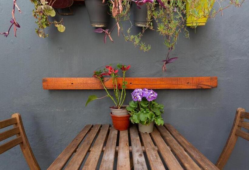 اتاق سوپریور, Mambo Tango