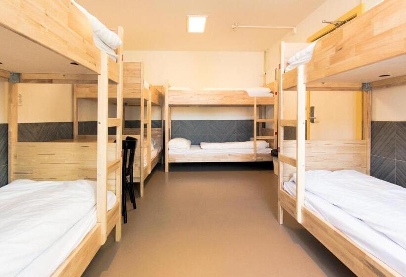 اتاق خانوادگی با سرویس بهداشتی مشترک, Hostel The Globe