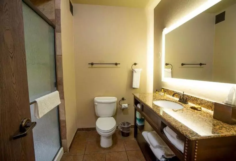 اتاق استاندارد, Best Western Plus Cimarron Hotel & Suites