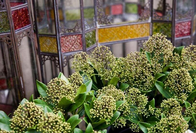 غرفة كمفورت مع بلكونة, Diamonds And Pearls