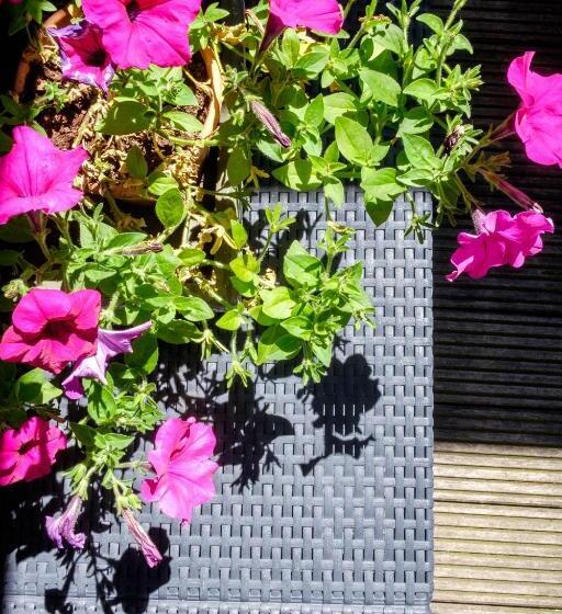 جناح جونيور مزوَّد بتراس, Diamonds And Pearls