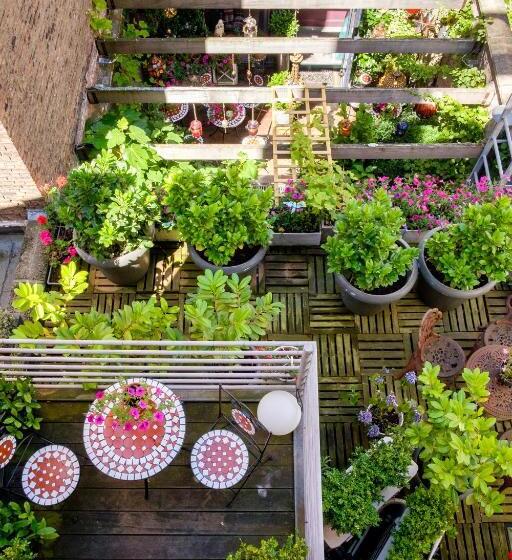 غرفة كمفورت مع بلكونة, Diamonds And Pearls