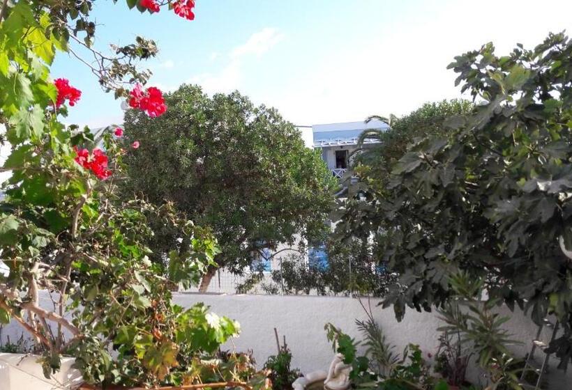 اتاق استاندارد با چشمانداز باغ, Maistrali