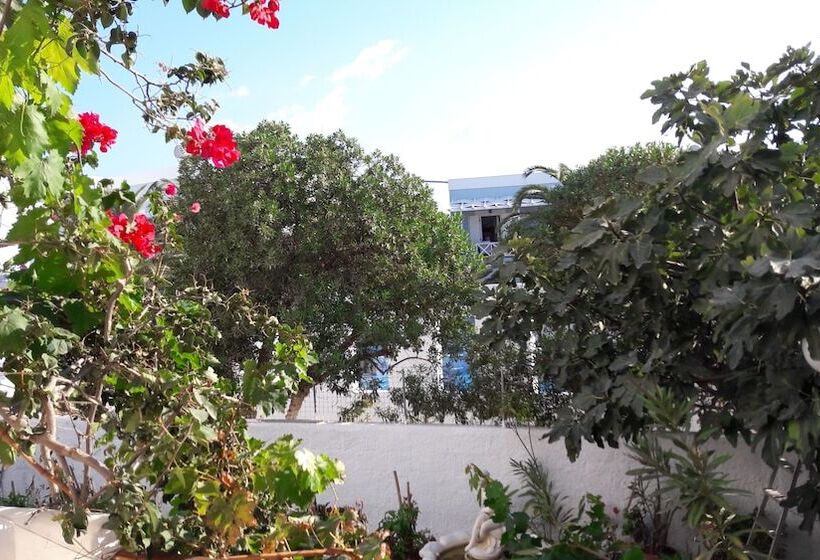 اتاق استاندارد در طبقه همکف, Maistrali