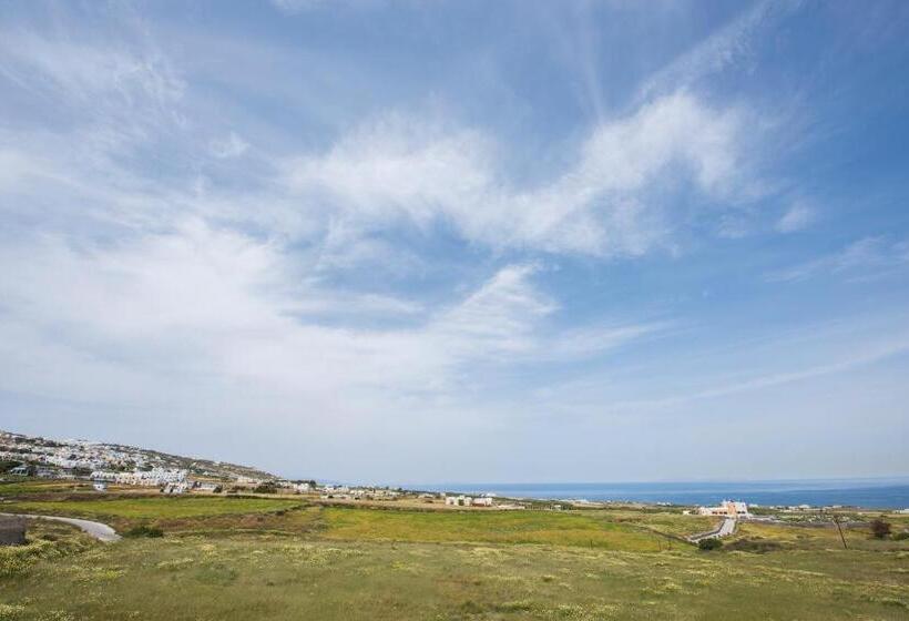 スタンダードルーム, Olympia