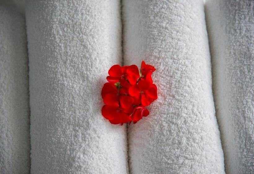 スタンダードルーム, Olympia