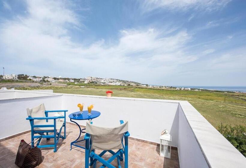 スタンダードトリプルルーム, Olympia