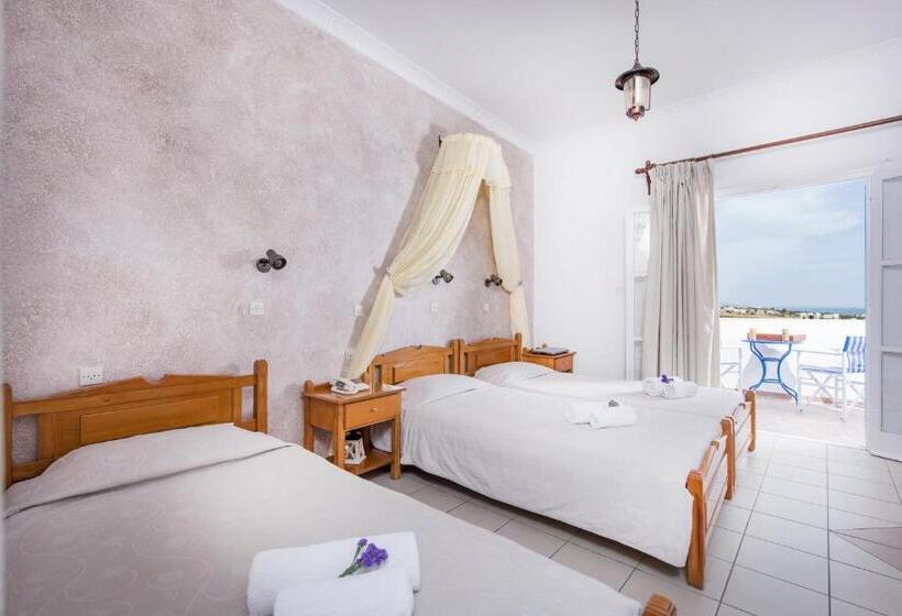 スタンダードトリプルルーム, Olympia