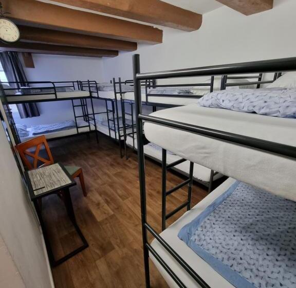 سرير فى غرفة مشتركه, International Budget Hostel City Center
