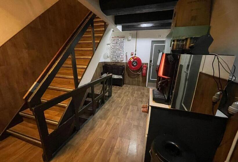 سرير فى غرفة مشتركه, International Budget Hostel City Center