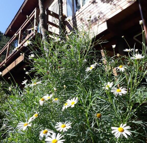 Family Suite, Eco Aldeia