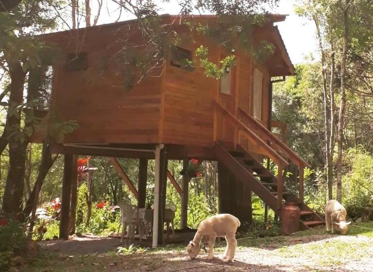 Family Suite, Eco Aldeia