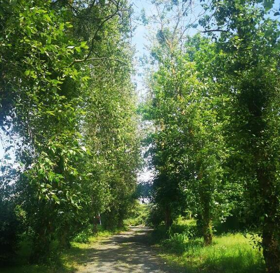 Семейный Номер Вид на Море, La Bellevue Bréville   B&b