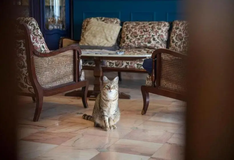 オーシャンビュースタンダードルーム, La Bellevue Bréville   B&b
