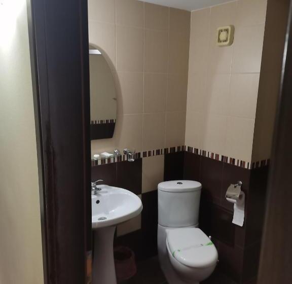 חדר סטנדרט עם מיטת קינג, Pensiunea Eric