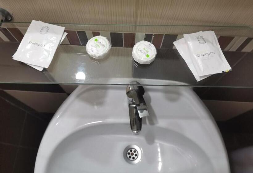 חדר סטנדרט עם מיטת קינג, Pensiunea Eric