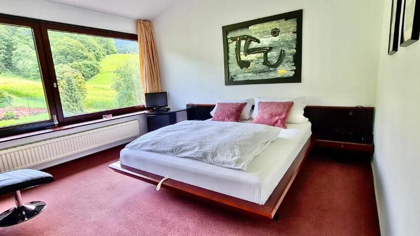 غرفة قياسية ثلاثية, Pension Linz