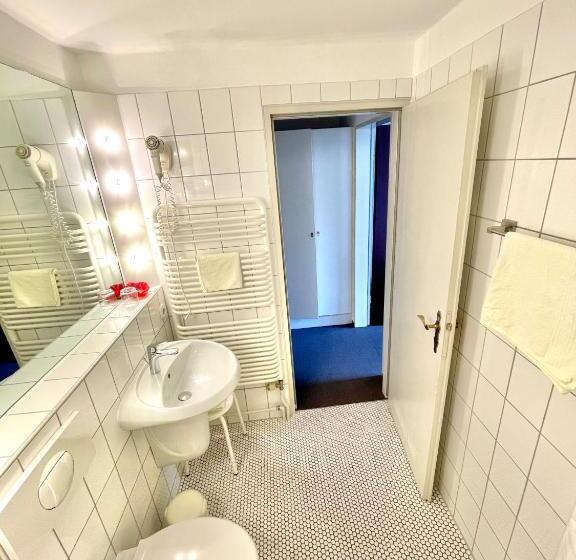 标准单人间, Pension Linz